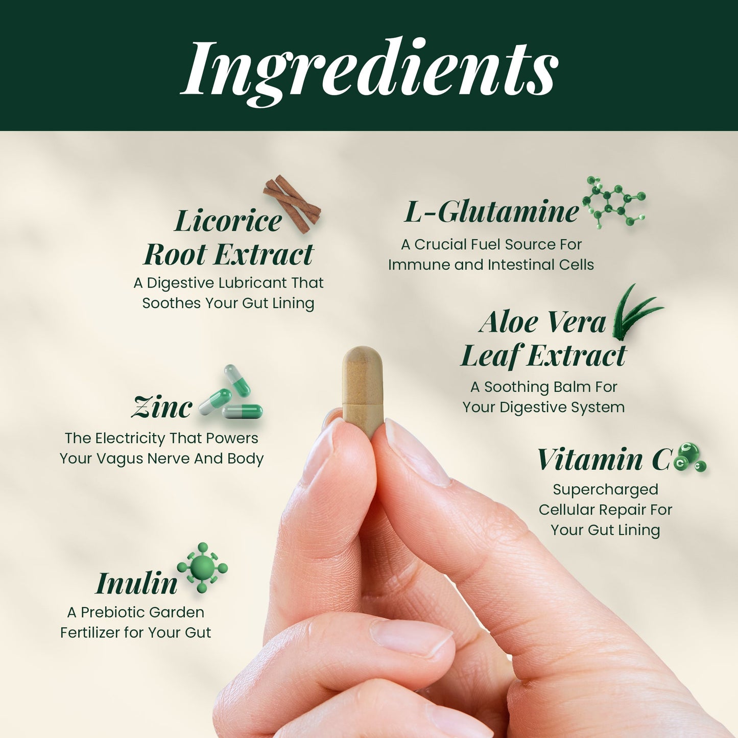 Vitaura SIBO Reset™ – Natural Bacterial Cleanse for Chronic Bloat & Gut Imbalance