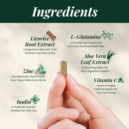 Vitaura SIBO Reset™ – Natural Bacterial Cleanse for Chronic Bloat & Gut Imbalance